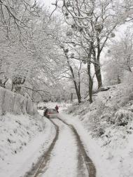 Перемишляни з panoramio.com