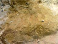 Баштанівка з panoramio.com