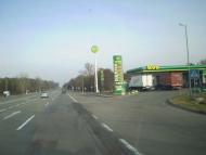 Скорінець з panoramio.com