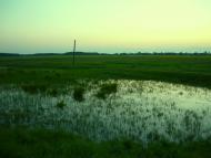 Нехаївка з panoramio.com