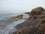 Берегове з panoramio.com