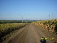 Дмитренки з panoramio.com