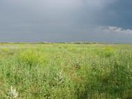 Хорли з panoramio.com