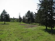 Губин з panoramio.com