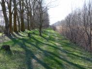 Чернишове з panoramio.com