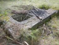 Бронне з panoramio.com