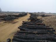 Саги з panoramio.com