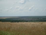 Дмитренки з panoramio.com