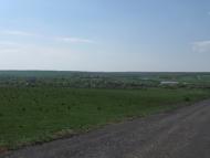 Віролюбівка - Останні фото