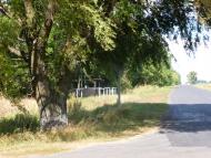 В'язівка з panoramio.com