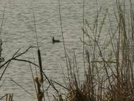 Жуківка - Останні фото