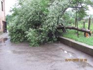 Вільшанка - Останні фото