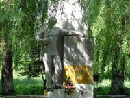 Сороки з panoramio.com