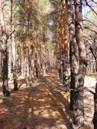 Саги з panoramio.com