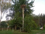Білозір'я з panoramio.com