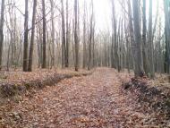 Олефірщина з panoramio.com