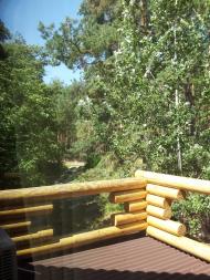 Діброва з panoramio.com