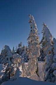 Вороненко з panoramio.com