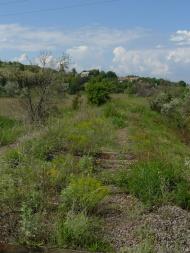 Плавні з panoramio.com