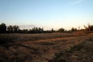 Юганівка з panoramio.com
