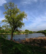 Відрадне з panoramio.com