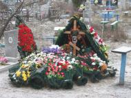 Залиман - Останні фото