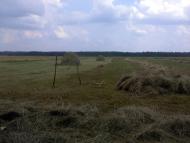 Ляшківці з panoramio.com