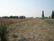 Нове - Останні фото