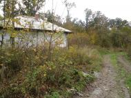 Доброгостів з panoramio.com