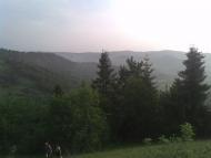 Свидник з panoramio.com