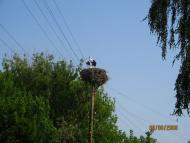 Розльоти з panoramio.com