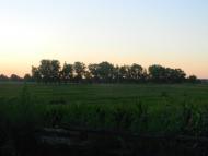 Білозір'я з panoramio.com