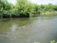 Бухарів - Останні фото