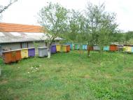 Дебеславці з panoramio.com