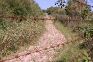 Малий Березний з panoramio.com
