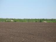 Аркадівка з panoramio.com