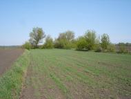 Фролівка з panoramio.com