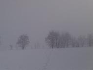 Грабовське з panoramio.com