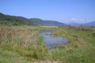 Малий Березний з panoramio.com