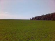 Ярмолинці з panoramio.com