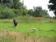 Ясногірка з panoramio.com