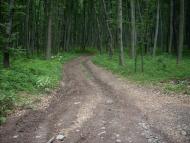 Ярок з panoramio.com