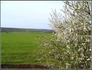 Горянка - Останні фото