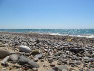 Фрунзе з panoramio.com