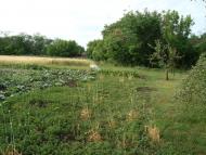 Межиріч з panoramio.com