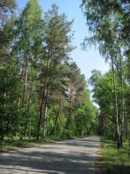 Страшеве з panoramio.com