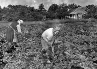 Червоноконстантиновка - Последние фото