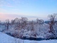 Болотня - Останні фото