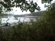 Хотінь з panoramio.com