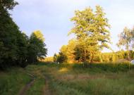 Стригани з panoramio.com